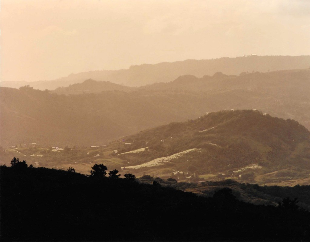 Why We Need Ancestral&nbsp;Voices